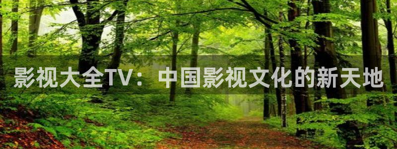 被窝影院在线观看
