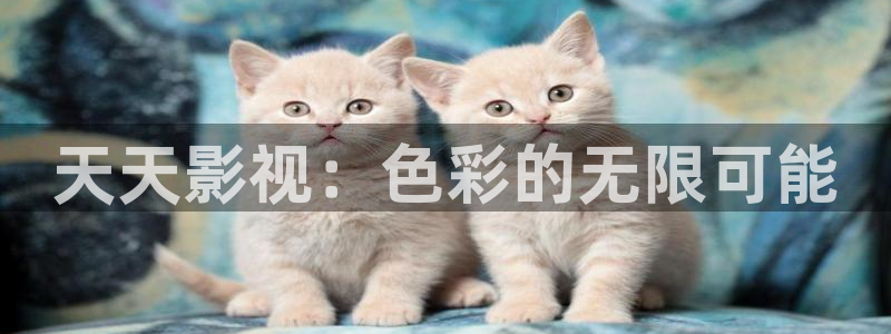 被窝秋霞电影网