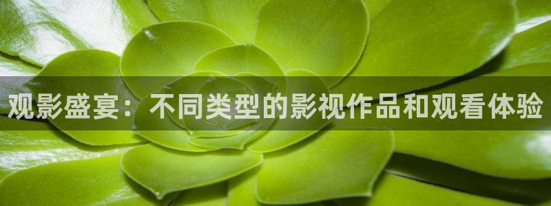被窝私人影院