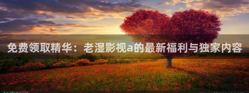 被窝影院伦理