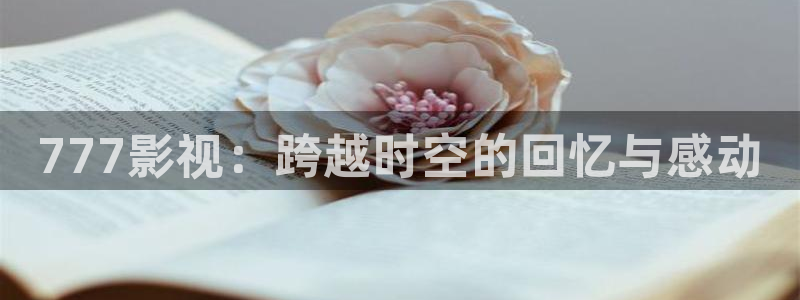 被窝理论影院