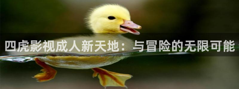 被窝电影网